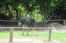 10-Hour Private Tour to Fathala Game Reserve