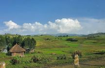  Day trip to Debre Libanos Monastry and Portugase bridge 