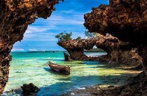 Safari Blue Private Full-Day Tour