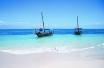 Safari Blue Private Full-Day Tour