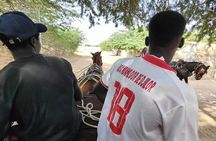 Private and Guided Excursion to the Kingdom of Sine and Saloum