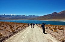 4 Tours to Discover Atacama (3 days)