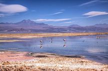 4 Tours to Discover Atacama (3 days)