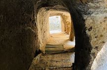  Day Trip to Adadi Rock and Tiya Archeological Excursion 
