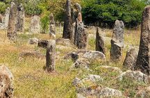  Day Trip to Adadi Rock and Tiya Archeological Excursion 