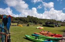 Ultimate North Shore Adventure: Full-Day Hawaiian Experience