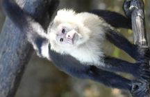 Palo Verde Wildlife Safari : Boat Tour & Traditional Lunch