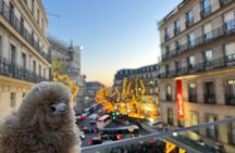 3-Hours Walking Tours Around Paris - Choose your own!