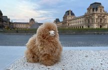 3-Hours Walking Tours Around Paris - Choose your own!
