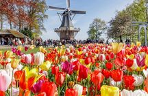 Private Tour Tulip Gardens (Keukenhof) and Dutch highlights 