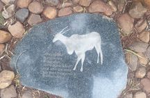 3-Day Johannesburg and Pilanesberg 