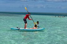 Private Sandbar Adventure in Key West Backcountry