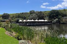 Private/Personalized Full Day Wine Tasting Tour Cape Winelands 