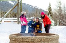 1 Hour Shared Winter Sleigh Ride Experience in Kananaskis