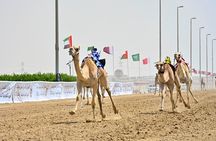 Doha: West Coast Tour , Richard Serra Sculpture, Zekreet
