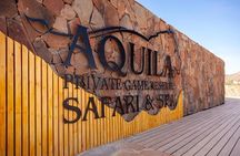 Aquila Safari Game Drive Lunch & Transfers from Cape Town