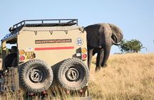 Moremi day trip