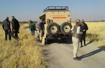 Moremi day trip