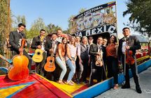 3 Hour Xochimilco Boat Tour and Fiesta in Mexico City