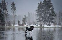 Wildside 4X4's Winter Wonderland Photo Tour