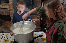 Cheese experience with locals