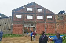 Tour around the Shore of the Peninsula de Hualpén