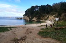 Tour around the Shore of the Peninsula de Hualpén