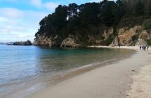Tour around the Shore of the Peninsula de Hualpén