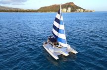 2 Hour Waikiki Whale Watching in Honolulu