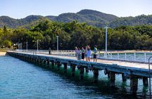 Magnetic Island Tour Behind the Scenes