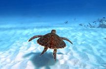 VIP Private Island & Snorkeling Tour – South Bonaire