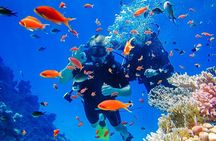3 Islands Tour of Nha Trang