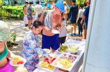Koh Tao and Koh Nang Yuan VIP Small Group Tour