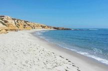 The Great Coast: Sousse, Monastir and Mahdia a day