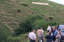 Northern Rhône Valley Wine tour from Lyon Half Day