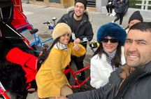 Central Park privet pedicab delux tour -1 hour 