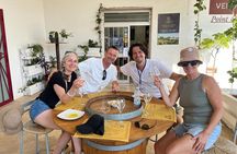 Cisternino e-bike tour. Visit a winery and an oil mill