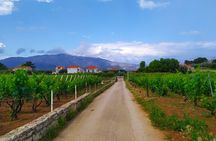 Slurp of Grk Korcula Wine Tour | Wine Tasting in Lumbarda
