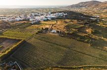 Naxos Private / Semi Private E-Bike Guided Tour Inland Methexis