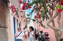 Naxos Private / Semi Private E-Bike Guided Tour Inland Methexis