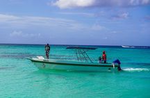6 Hour Private Saona Island Tour with Snorkeling