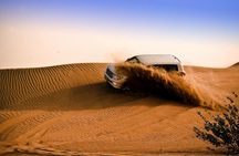 Doha: Safari, Camel Ride, Sandboarding and Inland Sea Tour