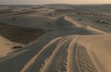 Doha: Safari, Camel Ride, Sandboarding and Inland Sea Tour