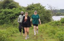 Shore Excursion Hambantota Port to Udawalawa national park safari