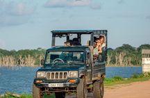 Shore Excursion Hambantota Port to Udawalawa national park safari