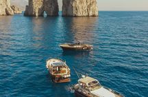 From Sorrento: Capri Small Group Boat Day Tour with Max 8 People 