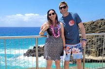 Waimea Botanical Garden & Waterfall and Pali Lookout