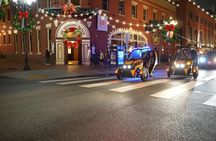 San Diego Holiday Lights Talking GoCar Tour