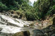 Half Day Ubud Waterfall Tour