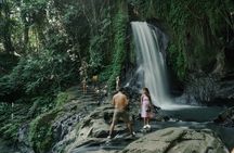 Half Day Ubud Waterfall Tour